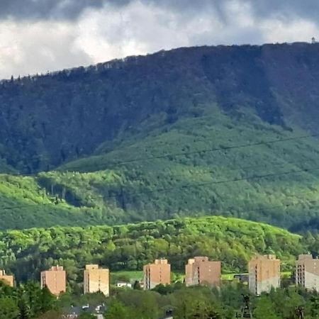Apartamenty Bujaki Ustron Ustroń Exterior foto