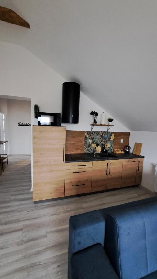 Apartamenty Bujaki Ustron Ustroń Exterior foto