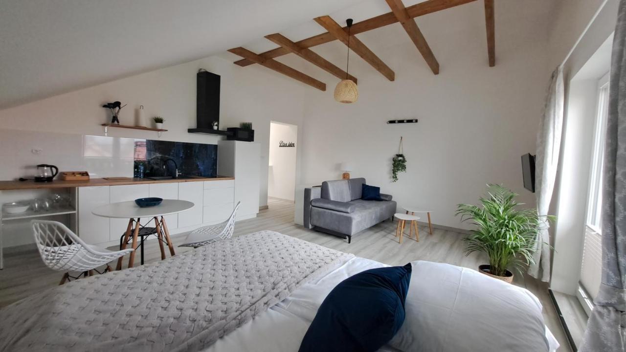 Apartamenty Bujaki Ustron Ustroń Exterior foto