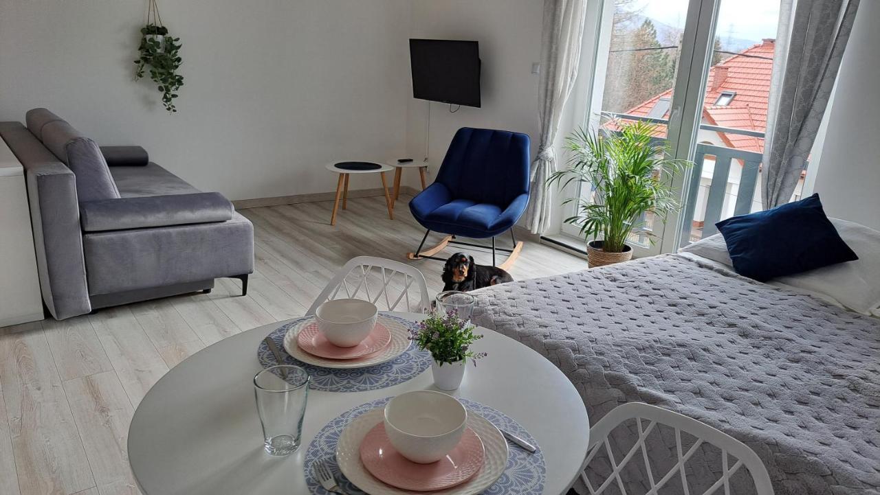 Apartamenty Bujaki Ustron Ustroń Exterior foto