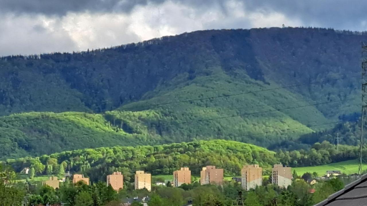 Apartamenty Bujaki Ustron Ustroń Exterior foto